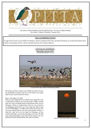 PITTA newsletter cover – January 2021