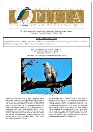 PITTA newsletter cover – February 2021