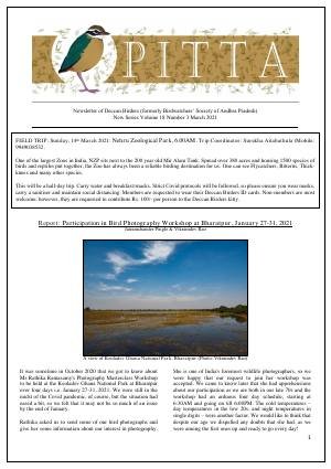 PITTA newsletter cover – March 2021