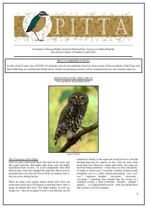 PITTA newsletter cover – April 2021