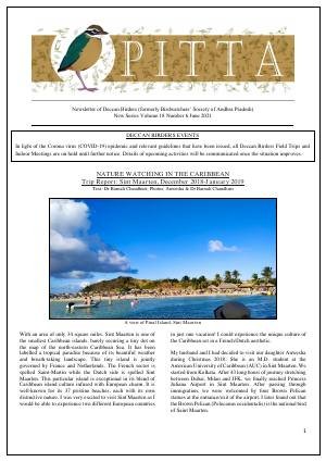 PITTA newsletter cover – June 2021