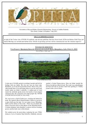 PITTA newsletter cover – July 2021