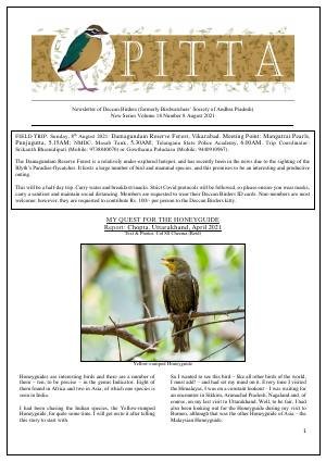 PITTA newsletter cover – August 2021