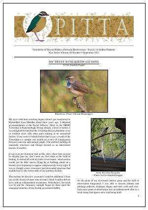 PITTA newsletter cover – September 2021