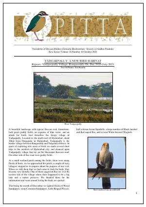 PITTA newsletter cover – October 2021