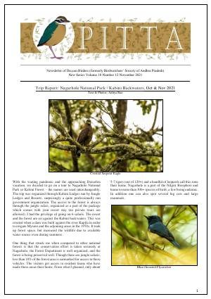 PITTA newsletter cover – November 2021