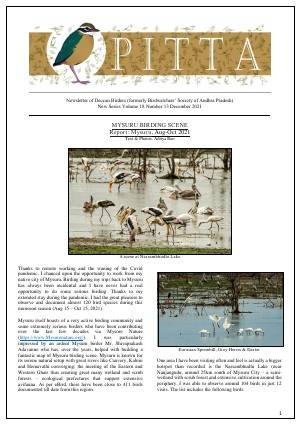 PITTA newsletter cover – December 2021