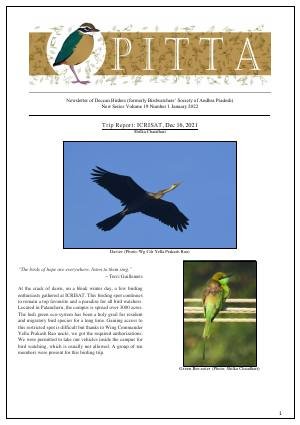 PITTA newsletter cover – January 2022