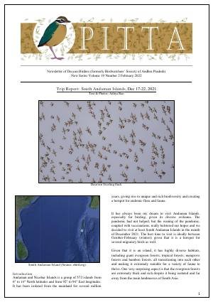 PITTA newsletter cover – February 2022