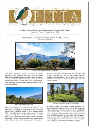 PITTA newsletter cover – April 2022