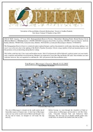 PITTA newsletter cover – June 2022
