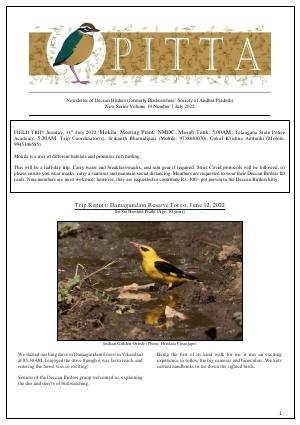 PITTA newsletter cover – July 2022
