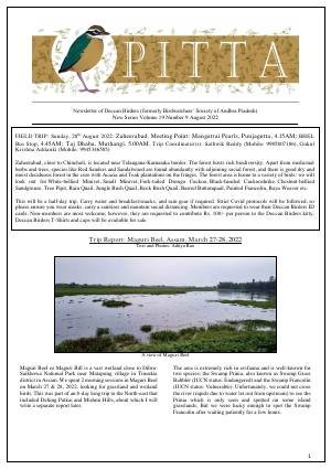 PITTA newsletter cover – August 2022