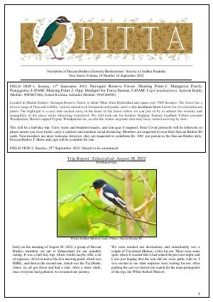 PITTA newsletter cover – September 2022