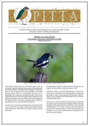 PITTA newsletter cover – October 2022