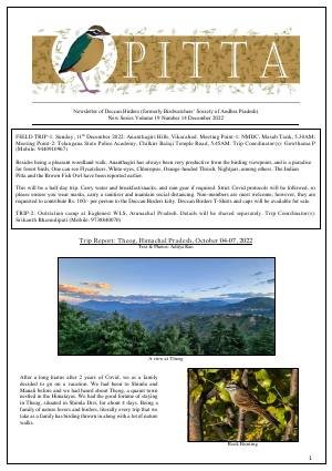 PITTA newsletter cover – December 2022