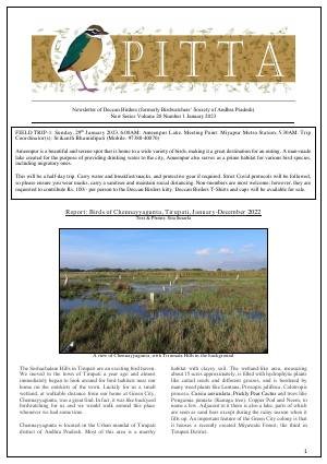 PITTA newsletter cover – January 2023