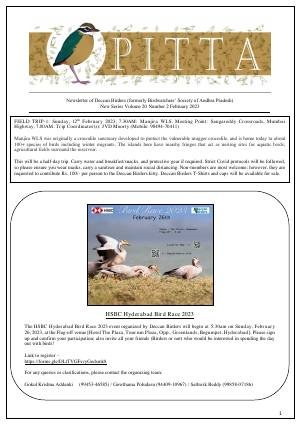 PITTA newsletter cover – February 2023
