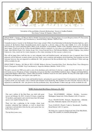 PITTA newsletter cover – March 2023