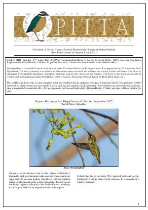 PITTA newsletter cover – April 2023
