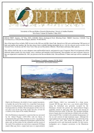 PITTA newsletter cover – May 2023