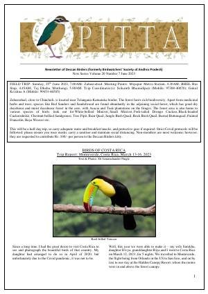 PITTA newsletter cover – June 2023
