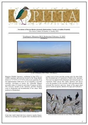 PITTA newsletter cover – October 2023