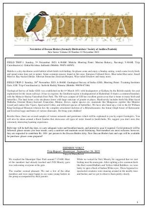 PITTA newsletter cover – November 2023