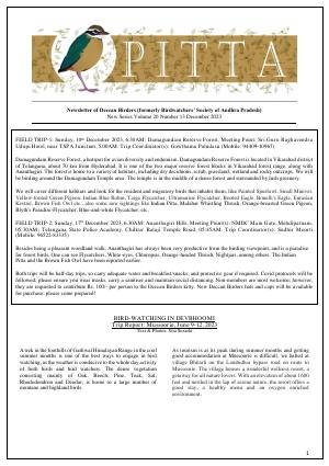 PITTA newsletter cover – December 2023