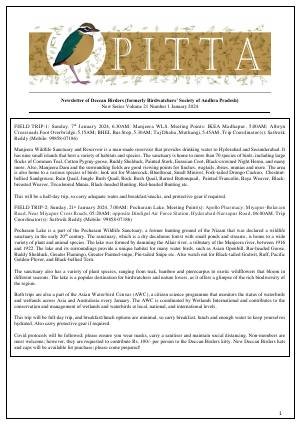 PITTA newsletter cover – January 2024