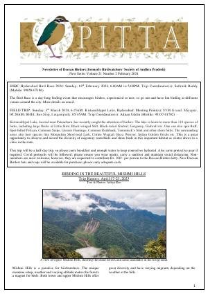 PITTA newsletter cover – February 2024