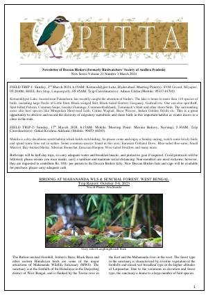 PITTA newsletter cover – March 2024