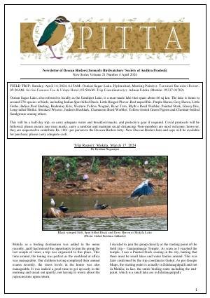 PITTA newsletter cover – April 2024