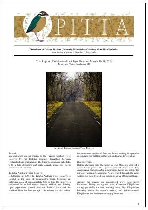 PITTA newsletter cover – May 2024