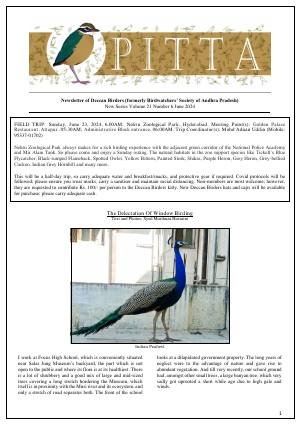 PITTA newsletter cover – June 2024