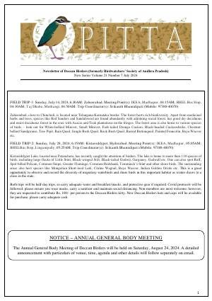 PITTA newsletter cover – July 2024
