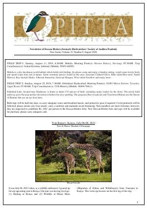 PITTA newsletter cover – August 2024