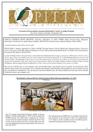 PITTA newsletter cover – September 2024