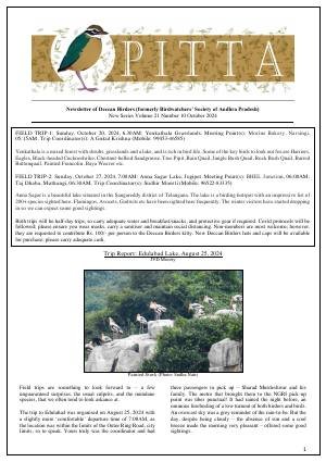 PITTA newsletter cover – October 2024