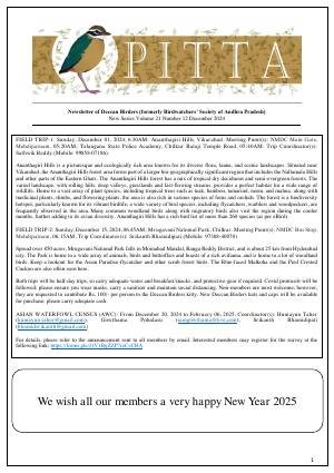 PITTA newsletter cover – December 2024