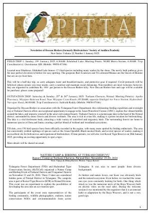 PITTA newsletter cover – January 2025