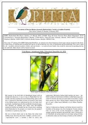 PITTA newsletter cover – February 2025