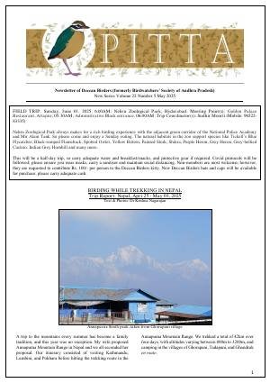 PITTA newsletter cover – May 2025