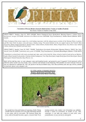 PITTA newsletter cover – June 2025