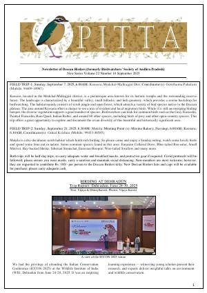 PITTA newsletter cover – September 2025