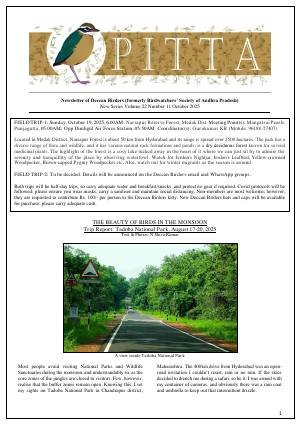 PITTA newsletter cover – October 2025