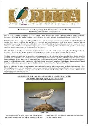 PITTA newsletter cover – November 2025