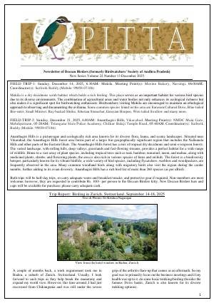 PITTA newsletter cover – December 2025