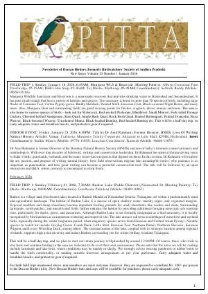 PITTA newsletter cover – January 2026