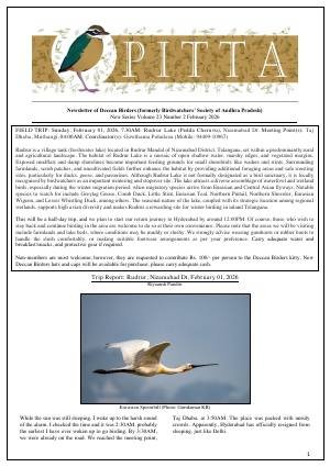 PITTA newsletter cover – February 2026